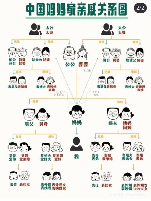 韩娱乐圈的亲戚_娱乐圈想不到的亲戚_娱乐圈亲戚